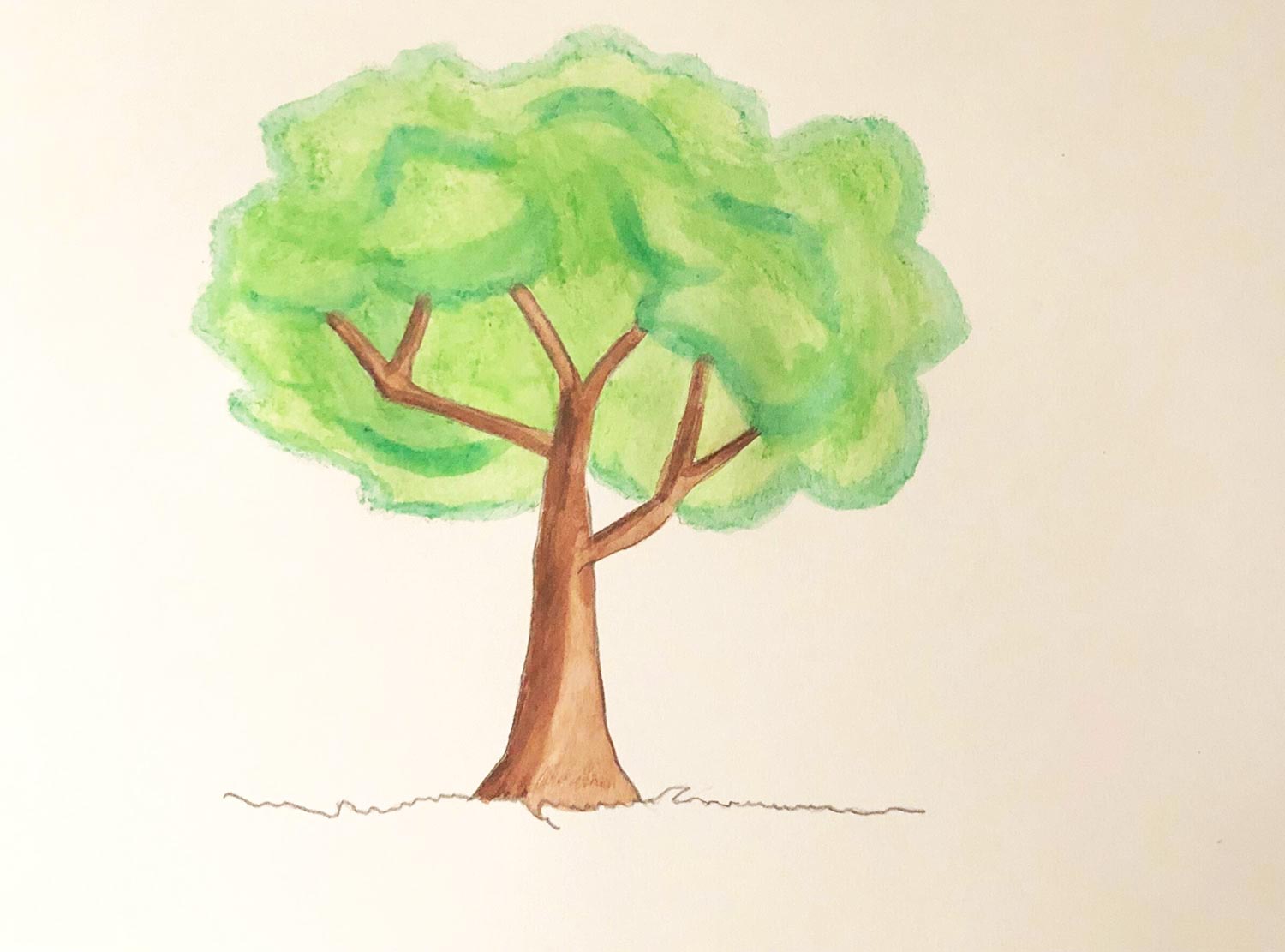 Dessiner un arbre | Canson®